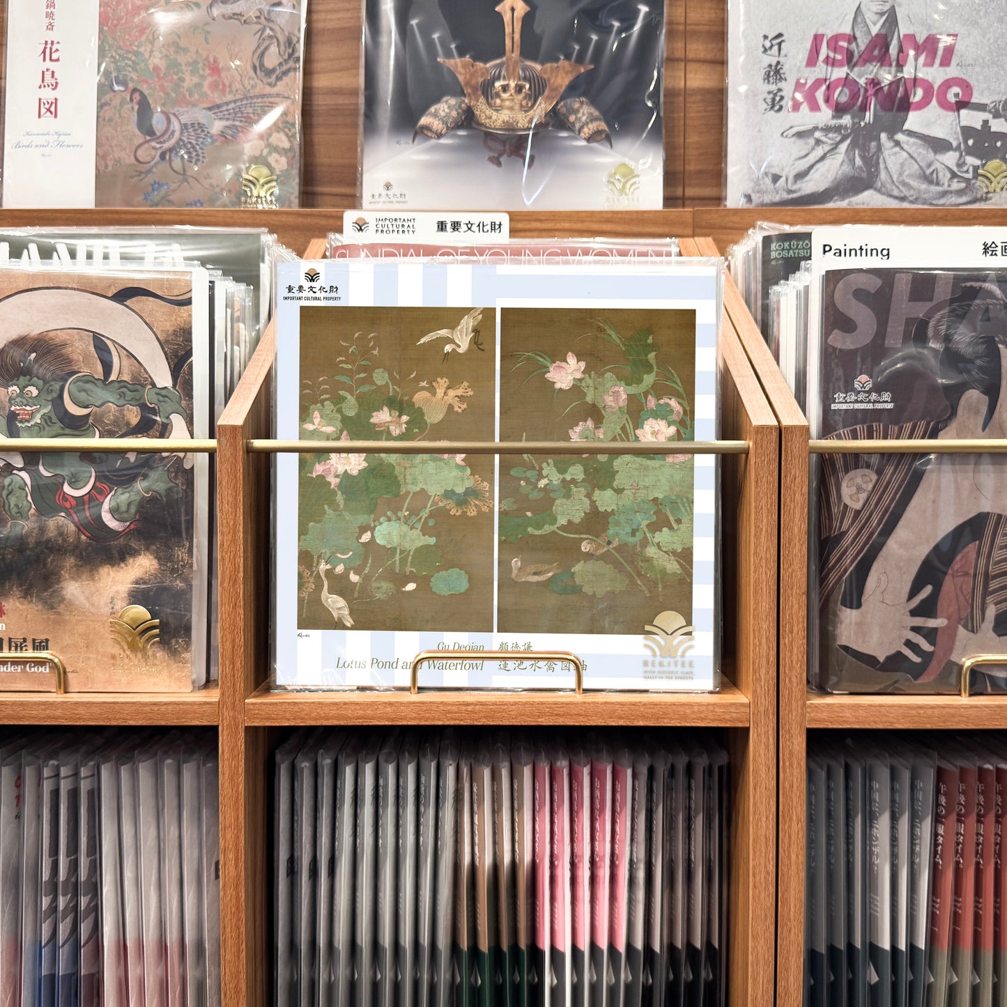 Lotus Pond and Waterfowl